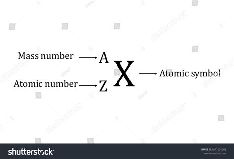 Atomic Number Mass Number Atomic Symbol Stock Vector (Royalty Free) 1871201908 | Shutterstock