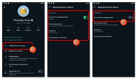 Как отключить режим не беспокоить в Ватсапе