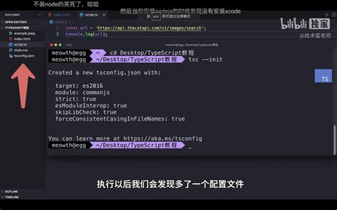 Typescript学习笔记 知乎