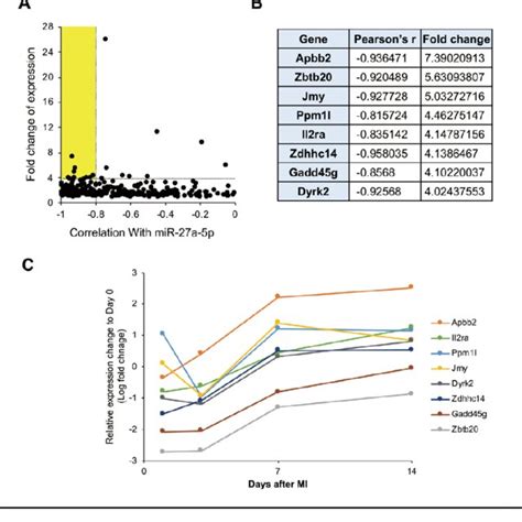 Screening For The Target Of MiR 27a 5p In Regulation Of M2 Like