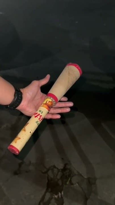 crying  cryingcow fireworks firecrackers newyear youtube