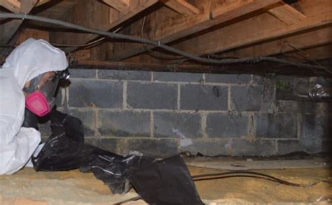 Crawl Space Mold Removal Newjerseymold