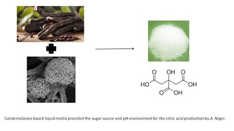 Acg Publications Citric Acid Synthesis Efficiency Of Aspergillus