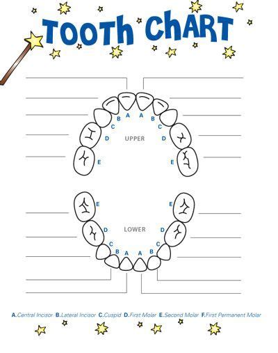 Lost Tooth Chart Printable Customized Aidens Learning Tooth Fairy