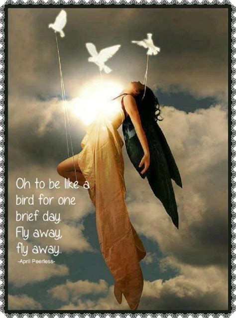 Fly away. Cute Missing You Quotes, Pretty Quotes, Awesome Quotes ...