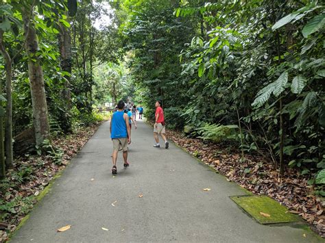 Bukit Timah Nature Reserve Singapore