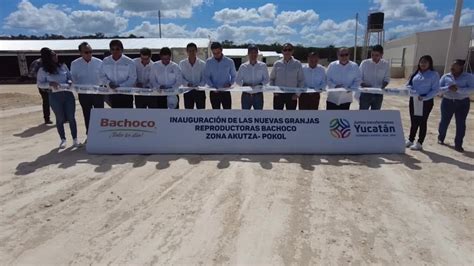 Inauguración de Granjas Bachoco Impulso de Empleo y Autosuficiencia en