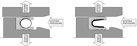 Spring Energized Ptfe Seals Informacionpublica Svet Gob Gt