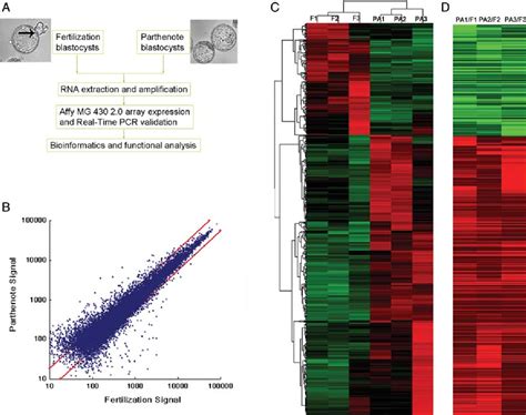 Figure From Genome Wide Gene Expression Profiling Reveals Aberrant