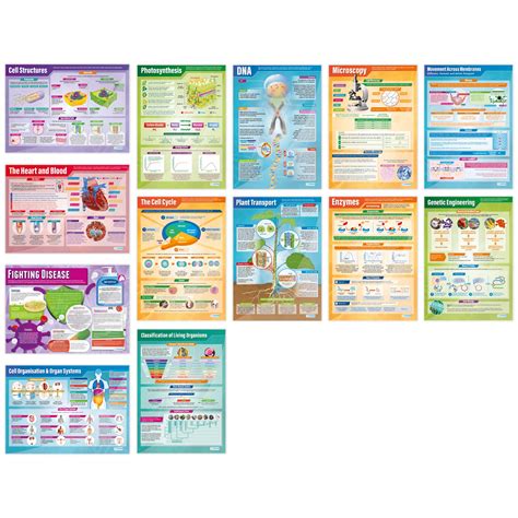 Buy Biology S Set Of 13 Science S Laminated Gloss Paper Measuring 33” X 235” Stem