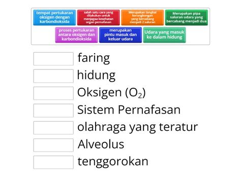 Sistem Pernafasan Match Up