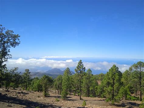 Da Tenerife Gita Guidata Di Un Giorno Al Parco Nazionale Del Teide In