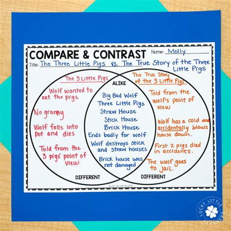 How To Use Venn Diagram In English The Venn Diagrams Sheet I