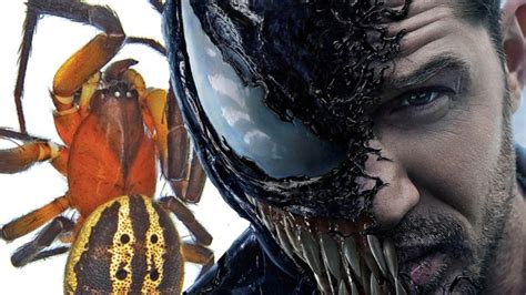 Venom Tom Hardy Gets A Real Life Spider Named After His Marvel