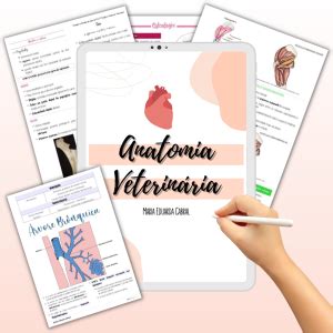 Anatomia Veterinária Completa ApostilaVet