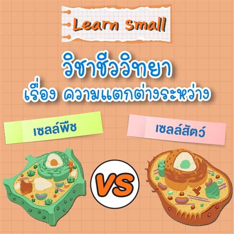 Altv ช่อง 4 Learn Small วิชาวิทยาศาสตร์ เรื่อง วงจรไฟฟ้าแบบใดช่วยประหยัดไฟมากกว่ากัน