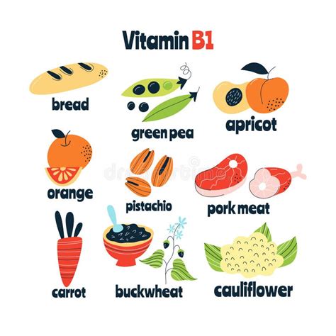 As Principais Fontes Alimentares De Vitamina B1 Conceito De Alimentos