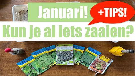 Januari Wat Zou Je Nu Al Kunnen Zaaien Handige Tips YouTube