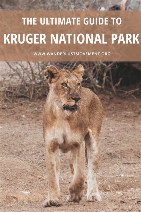 Kruger National Park Is One Of The Best Things To Do In South Africa