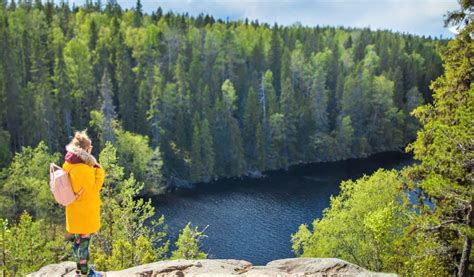 Parque Nacional De Helvetinjärvi Länsi Aure Discovering Finland