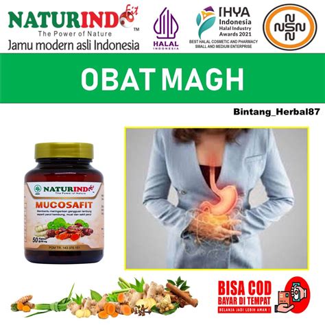 Jual Obat Magh Maag Ampuh Gerd Sakit Lambung Nyeri Ulu Hati Gangguan