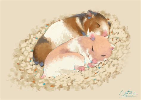 Ma Hammy by Naofaro on DeviantArt