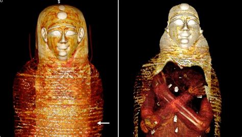 D Printing Reveals Secrets Of Ancient Egypt Mummy Dnatives