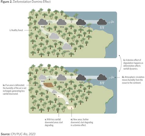 Experts Warn: The Bambi Doe Leak And The Devastating Impact On Tomorrow Image 15