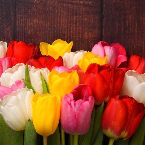 Premium Photo Large Bright Bouquet Of Multi Colored Tulips