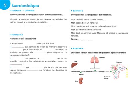 Dipl Me Infirmier Ifsi Cartes Mentales Ue Cycles De La Vie