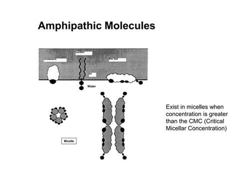 Enterohepatic circulation.ppt