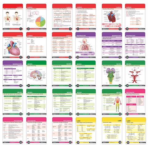 Nursing Cheat Sheets Printable