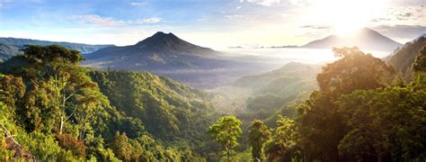 Fauna A Flóra Na Bali Bali Mahalocz