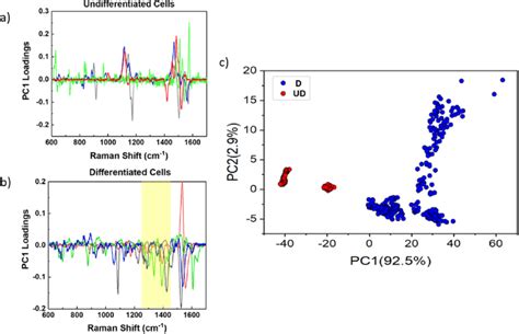 A B Plot Of The Pc Loadings Resulting From The Pca Performed On The