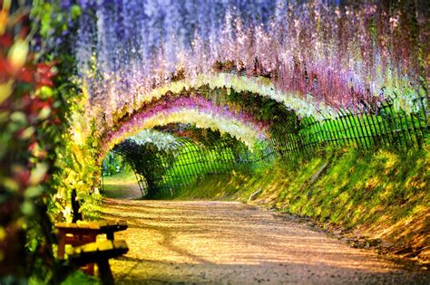 Beautiful Tunnels Wallpapers Top Free Beautiful Tunnels Backgrounds