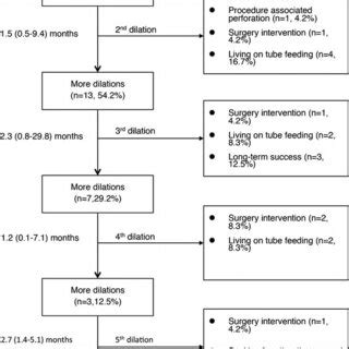 Flowchart Of Long Term Outcome Of Endoscopic Balloon Dilation In The