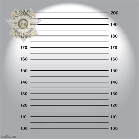 Fulton County Mugshot Template Imgflip