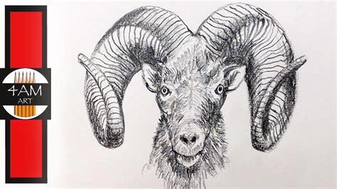 How To Draw A Realistic Big Horn Ram Step By Step Pencil Drawing