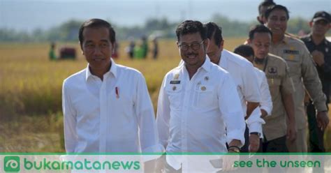 Didampingi Mentan Syl Presiden Jokowi Panen Raya Di Maros