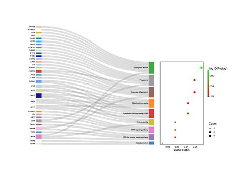 桑吉气泡图 KEGG富集气泡图升级版5维展示富集结果 知乎