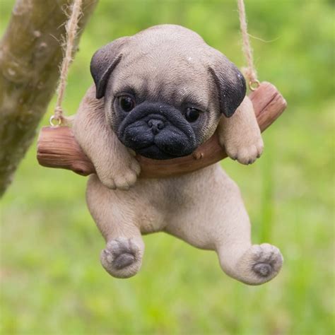 10 Amazing Cute Pictures of Pug Puppies That Will Make You Go Aww!