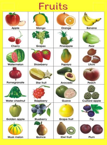 Fruits Name Chart – Toppers Bulletin