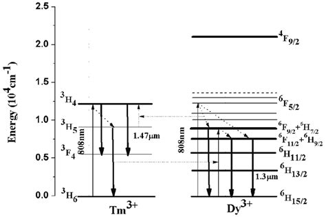 Simplified Energy Level Diagram Of Dy And Tm Ions And Schematic