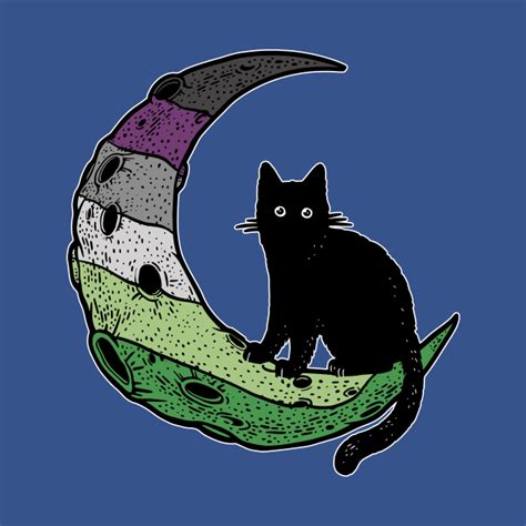 Aroace Cat Moon Lgbt Asexual Aromantic Pride Flag Aroace T Shirt