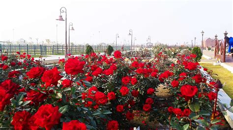 Eco Park Kolkata History Things To Do Attractions Ticket Price