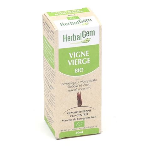 Macérat de bourgeons de vigne vierge bio Herbalgem Gémmothérapie