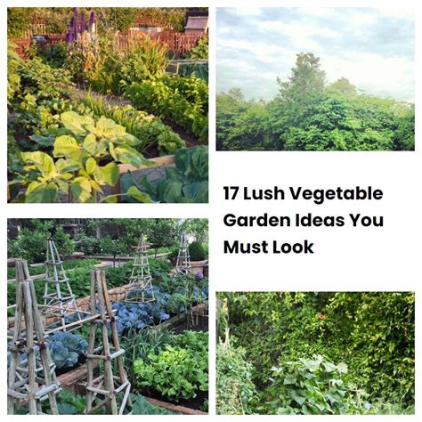 Lush Vegetable Garden Ideas You Must Look Sharonsable