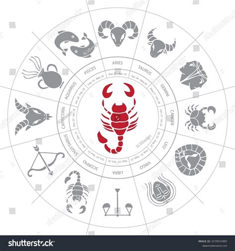 Scorpio Zodiac Vector Sign Design Stock Vector Royalty Free