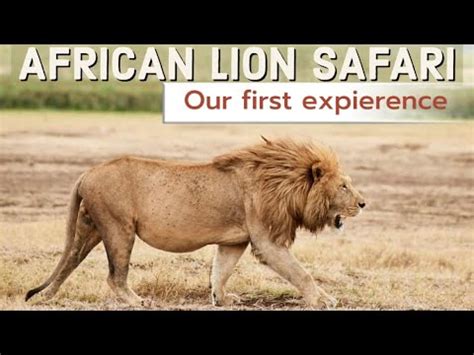 Canada Deadliest Safari Experience African Wild Life Safari