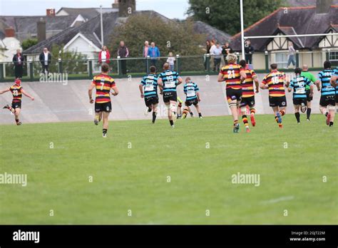 Carmarthen Quins Rfc Stock Photo Alamy